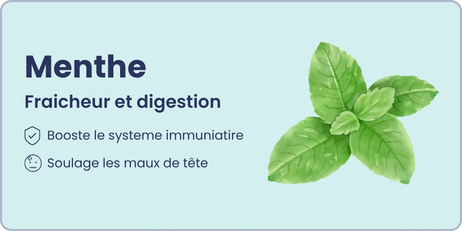 Ingrédient 1 et ses bienfaits