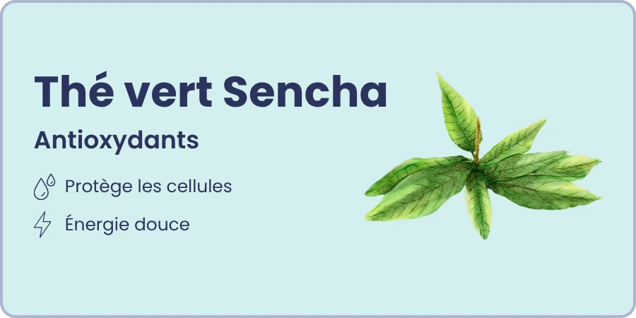 Ingrédient 2 et ses bienfaits