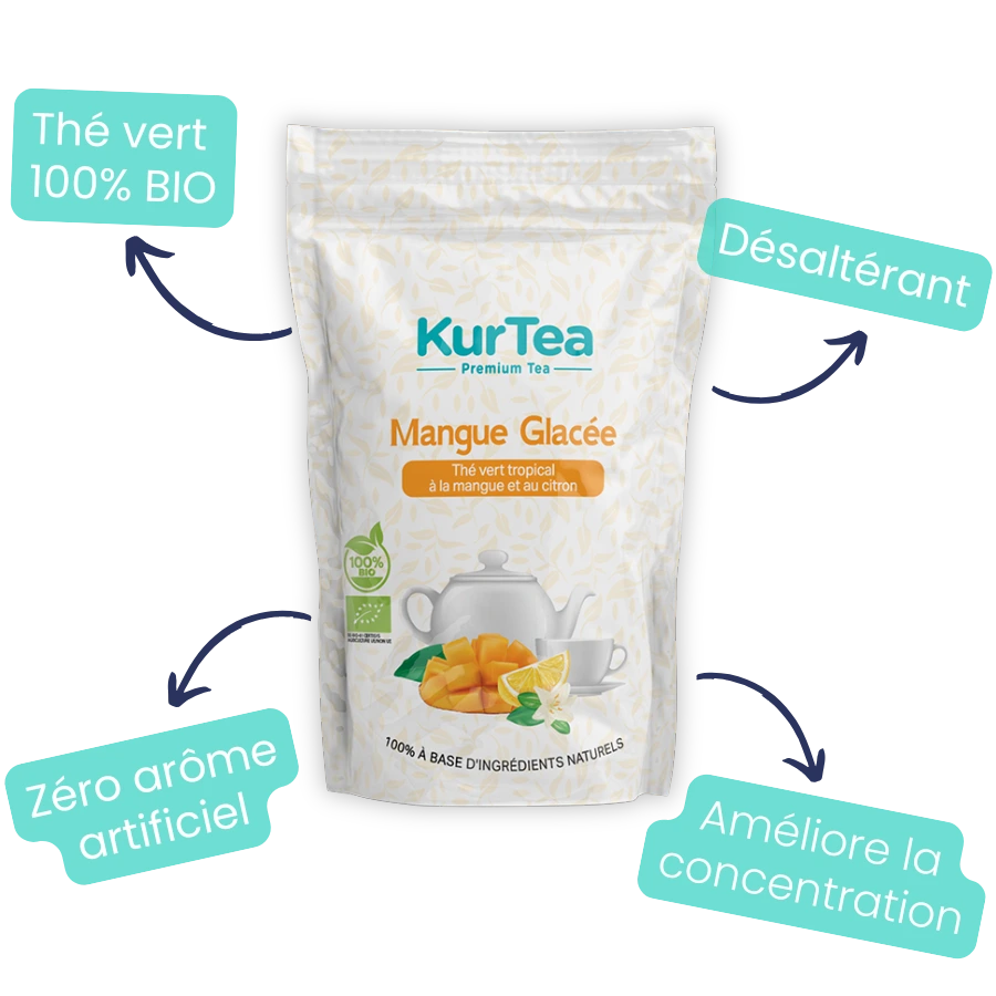 Thé Bio Mangue Glacée Alveus