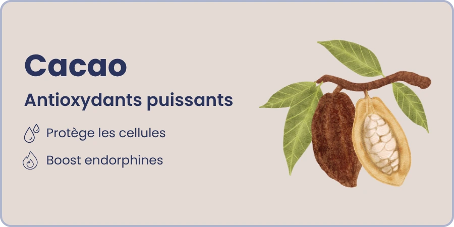 Ingrédient 2 et ses bienfaits