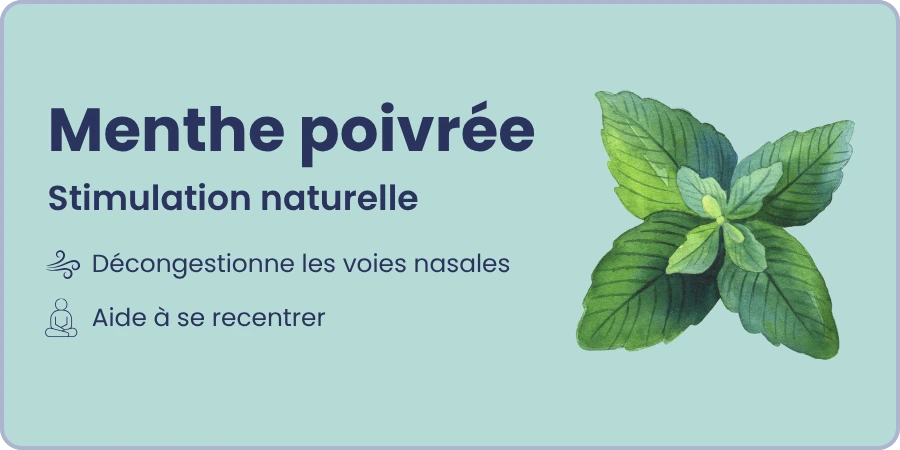 Ingrédient 1 et ses bienfaits