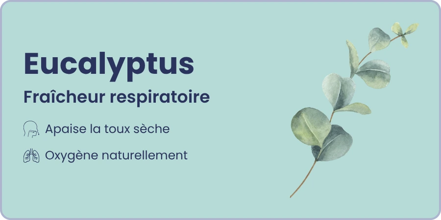 Ingrédient 2 et ses bienfaits