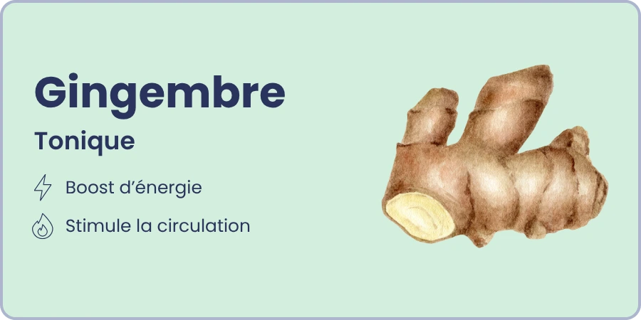 Ingrédient 2 et ses bienfaits