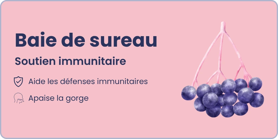 Ingrédient 2 et ses bienfaits