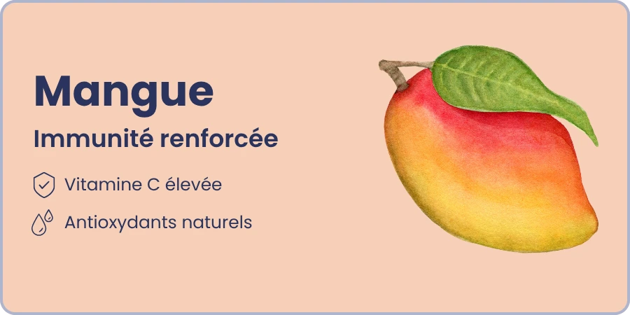 Ingrédient 2 et ses bienfaits