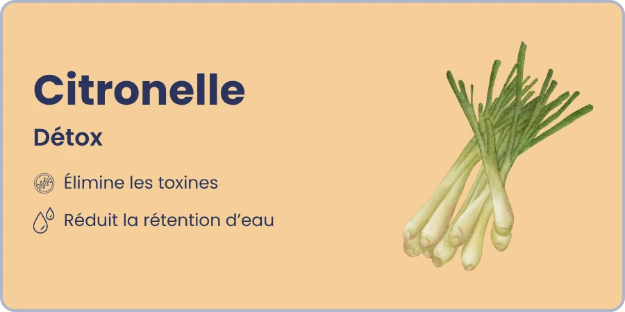 Ingrédient 2 et ses bienfaits