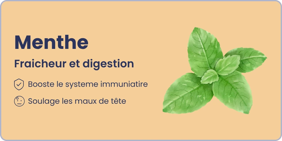 Ingrédient 3 et ses bienfaits