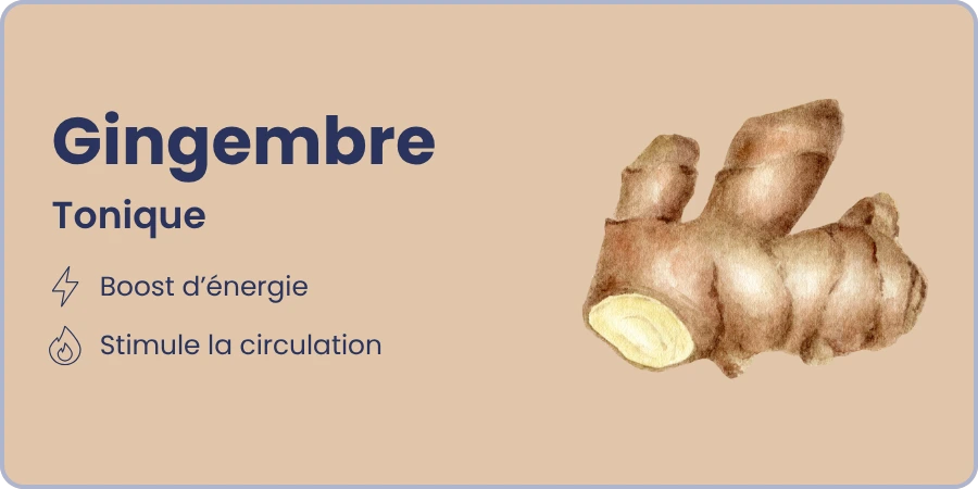 Ingrédient 1 et ses bienfaits