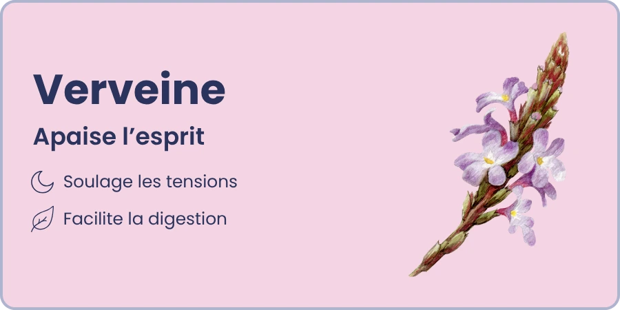 Ingrédient 3 et ses bienfaits